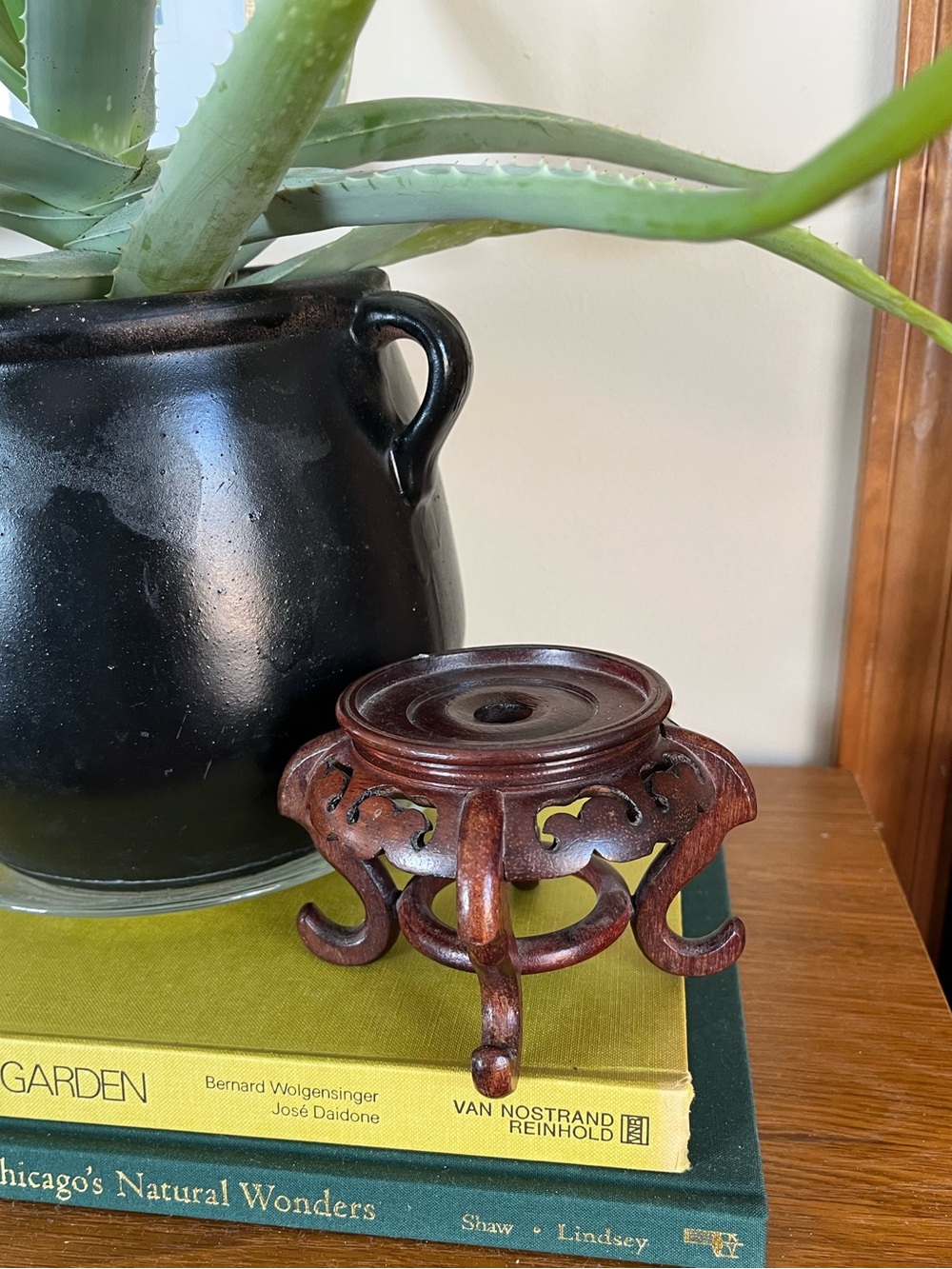 Wood Display Stand in Dark Brown